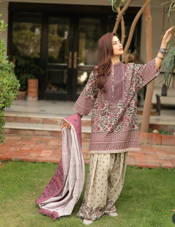 Rabi 2 Piece Stitched Printed
